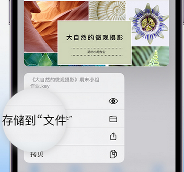 青神apple维修中心分享iPhone文件应用中存储和找到下载文件