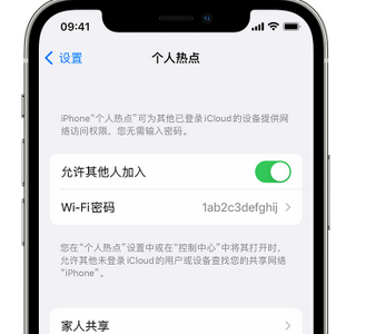 青神apple服务站点分享iPhone上个人热点丢失了怎么办 