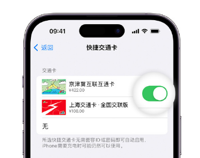 青神apple维修点分享iPhone上更换Apple Pay快捷交通卡手绘卡面 