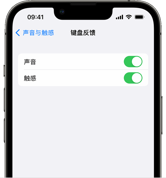 青神苹果14维修店分享如何在 iPhone 14 机型中使用触感键盘 