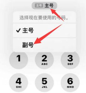 青神苹果14维修店分享iPhone 14 Pro Max使用副卡打电话的方法 