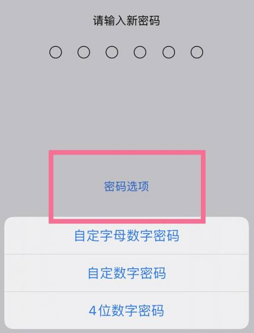 青神苹果14维修分享iPhone 14plus设置密码的方法 