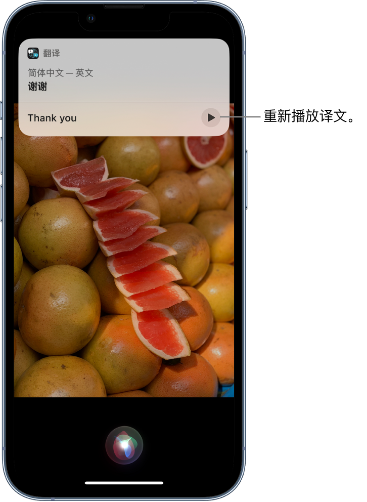 青神苹果14维修分享 iPhone 14 机型中使用 Siri：了解 Siri 能帮你做什么 