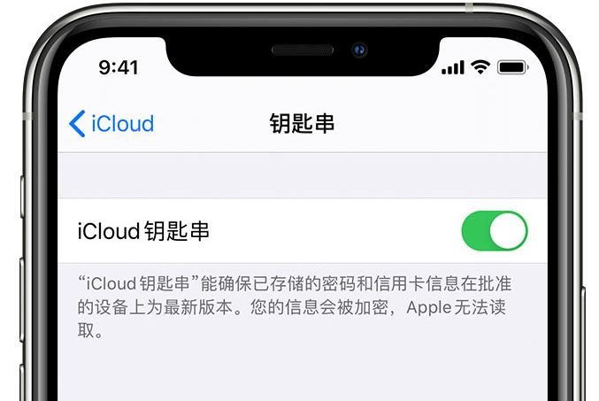 青神苹果手机维修分享在 iPhone 上开启 iCloud 钥匙串之后会储存哪些信息 