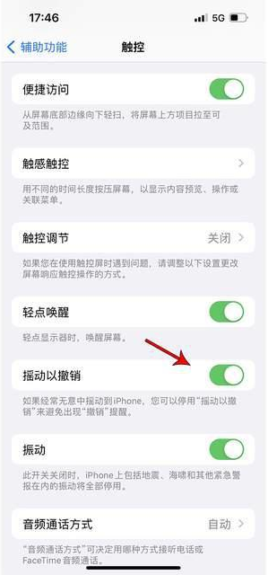 青神苹果手机维修分享iPhone手机如何设置摇一摇删除文字 