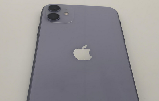 青神苹果11系统维修分享iPhone11手机系统崩溃无法开机如何解决 