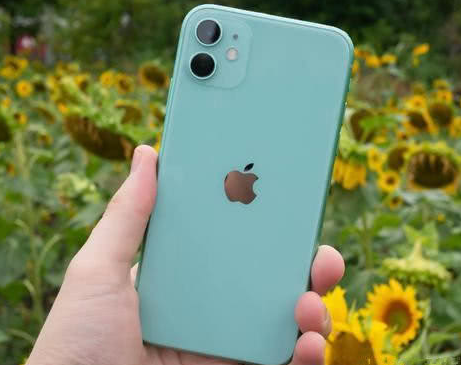 青神苹果维修点分享iPhone 11锁屏密码认知与使用科普 
